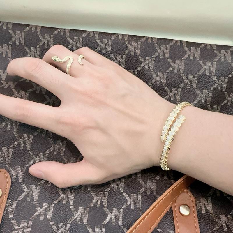 Bvlgari bracelet 05yxh11 (5)