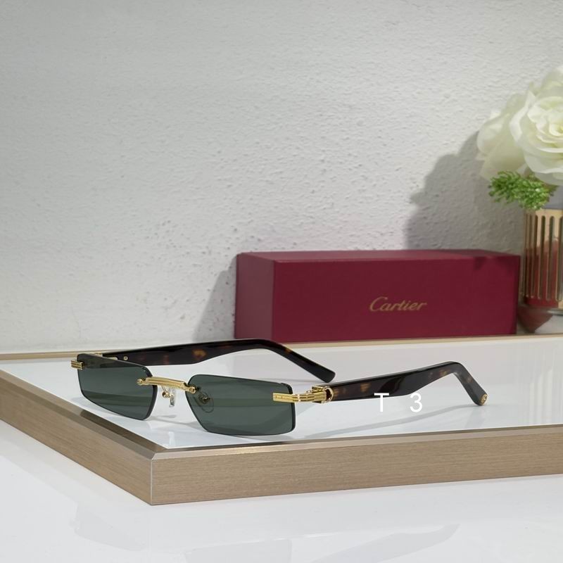 Cartier CT0537S 55 18-145 c08