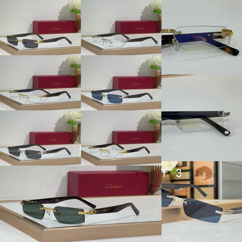 Cartier CT0537S 55 18-145 c10