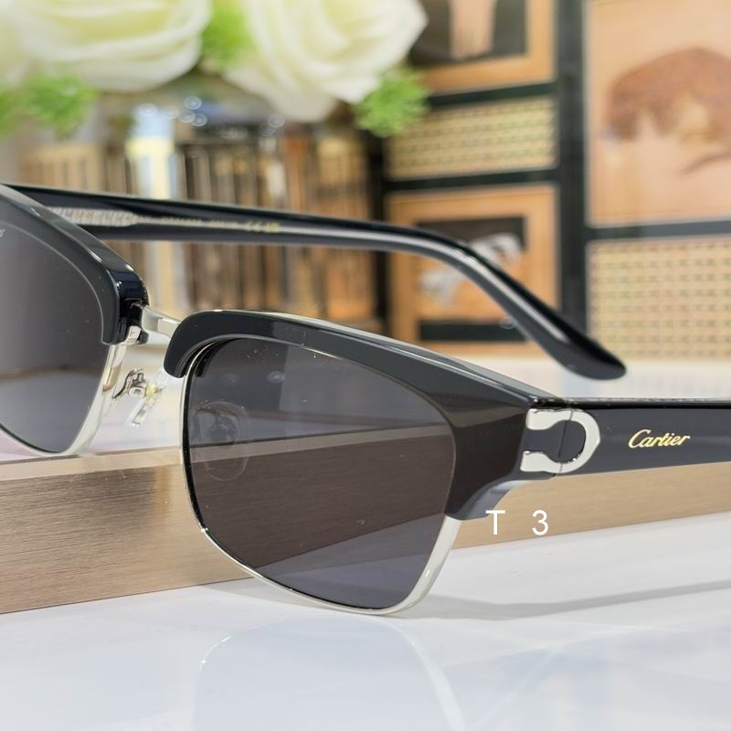 Cartier CT0132S 54 19-145 c05