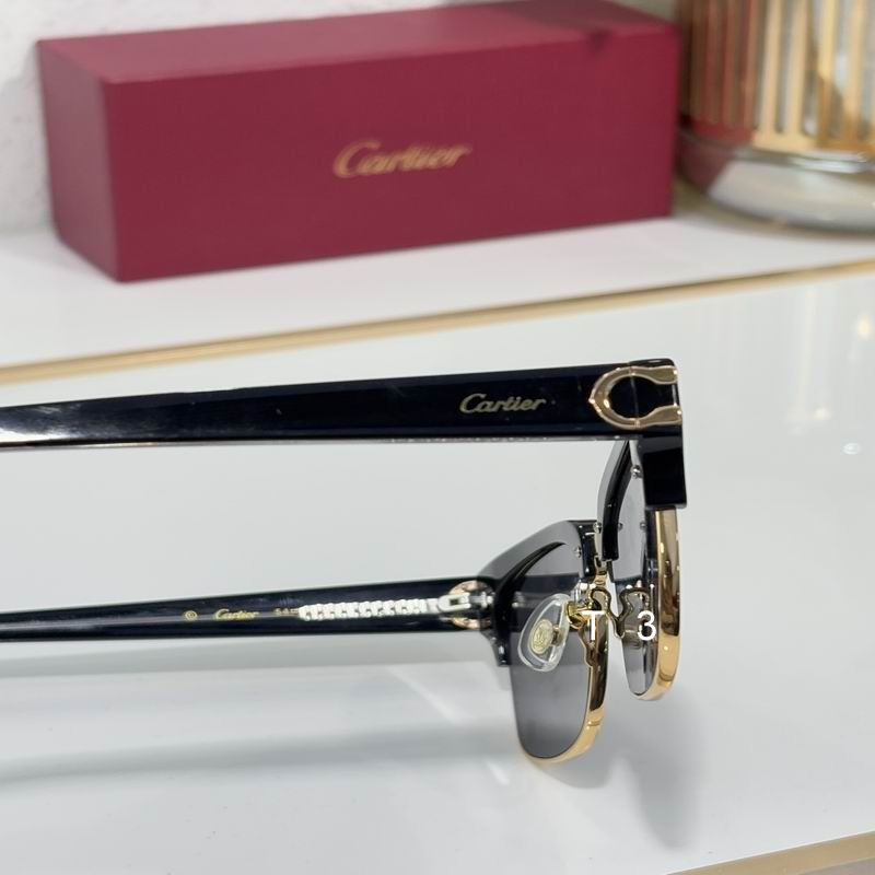 Cartier CT0132S 54 19-145 c06