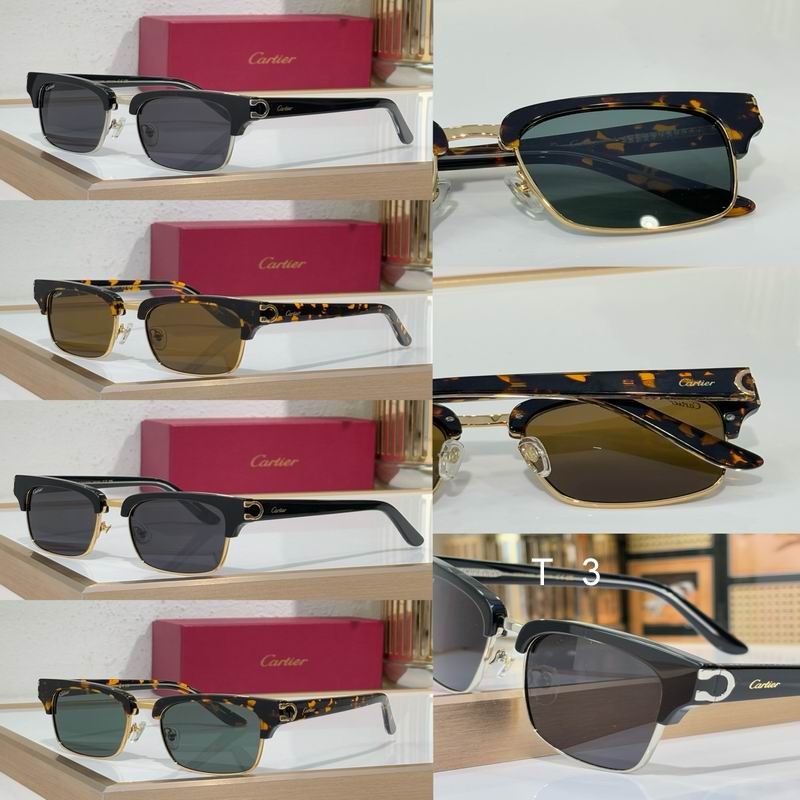 Cartier CT0132S 54 19-145 c07