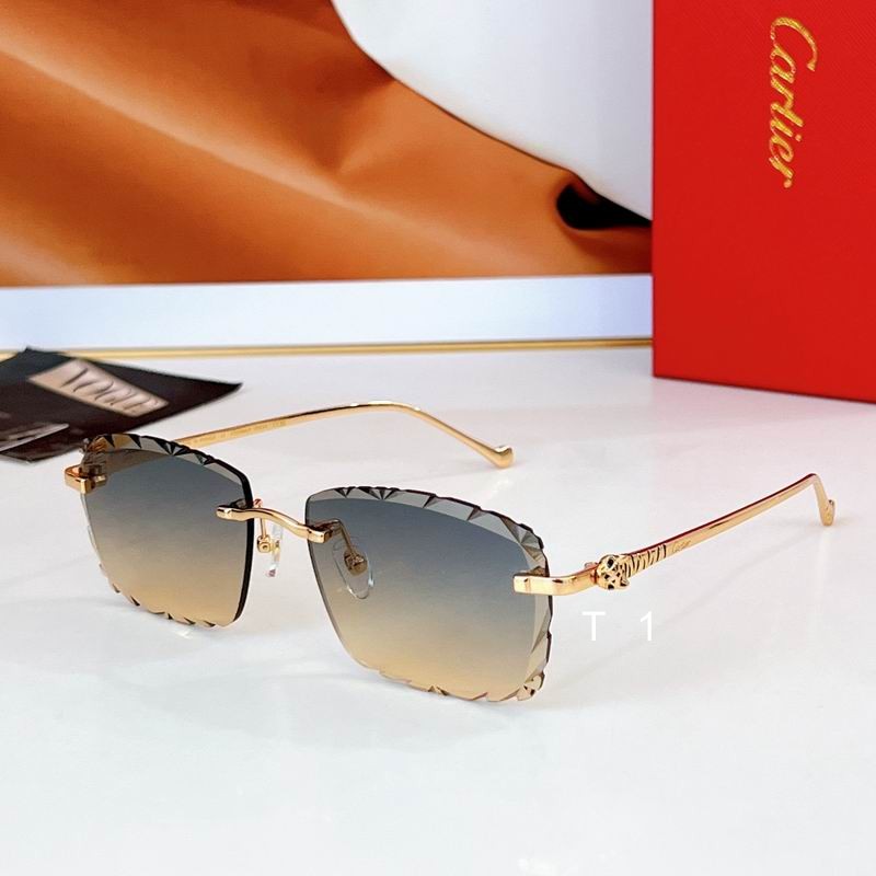 Cartier CT01594LO 142 a04