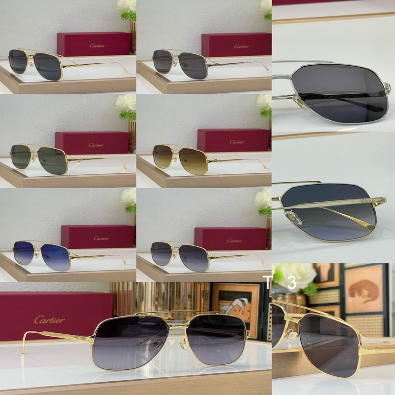 Cartier CT0329S 57 16-145 c10