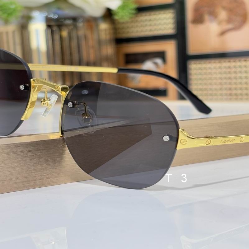 Cartier CT0459S 51 21-145 c08