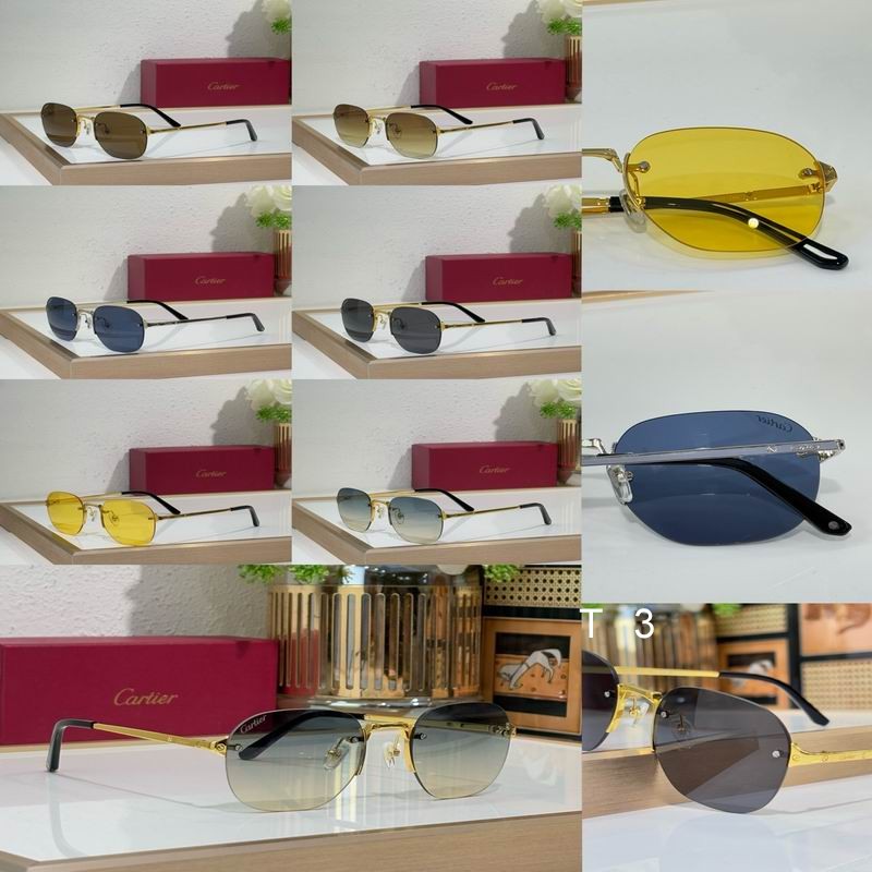 Cartier CT0459S 51 21-145 c09