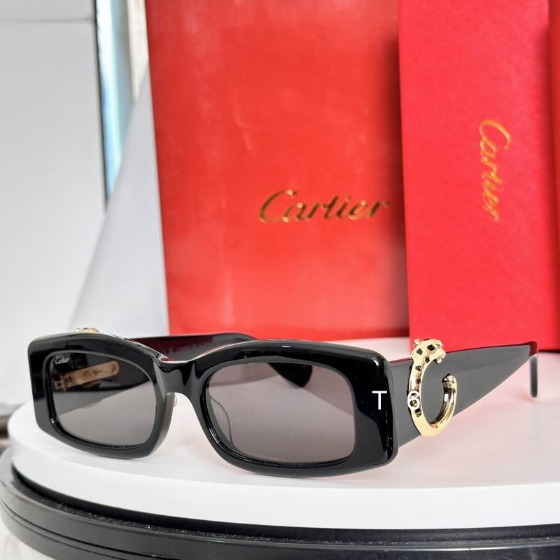 Cartier CT0505S 55-1 a04
