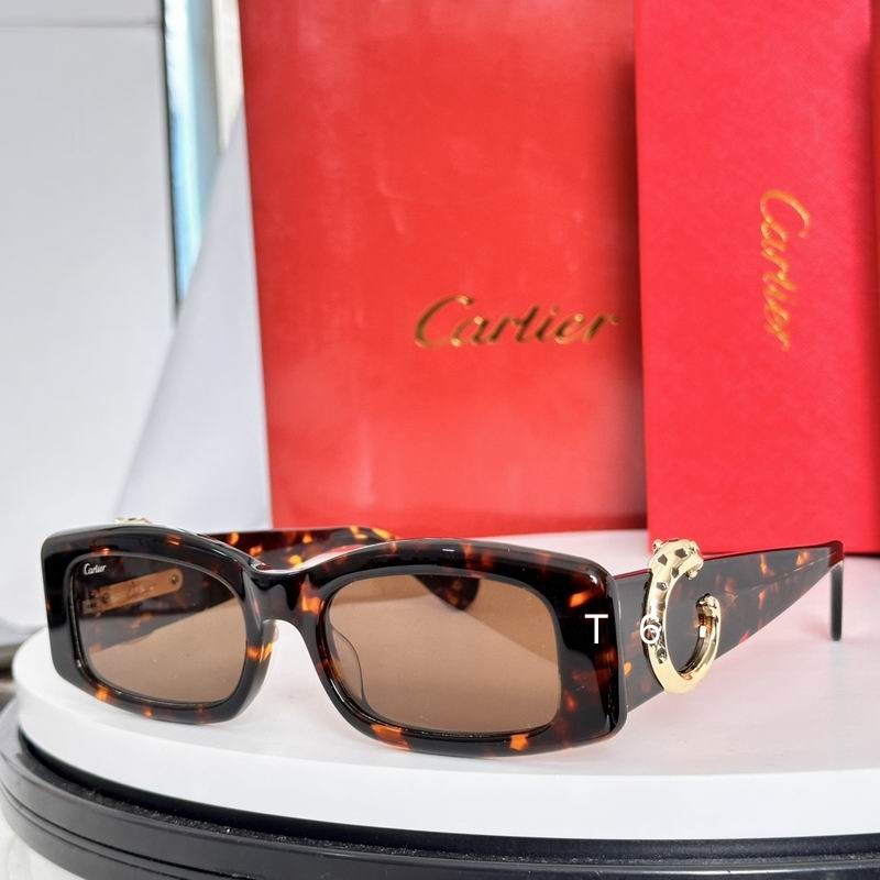 Cartier CT0505S 55-1 a06