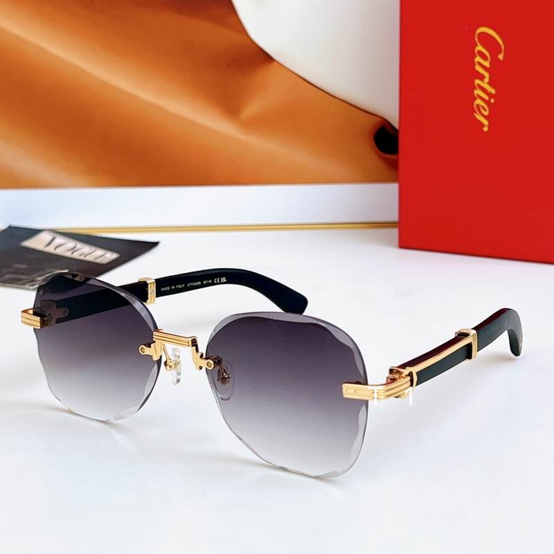 Cartier CT0520S 60 19 145 a04