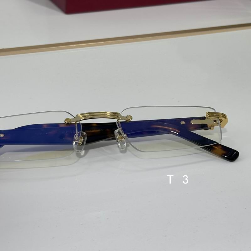 Cartier CT0537S 55 18-145 c09