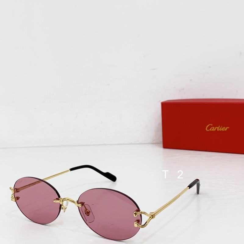 Cartier CT0551S 55 18-145 b03