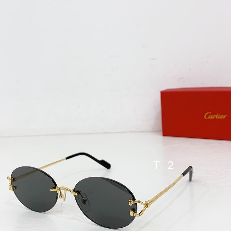 Cartier CT0551S 55 18-145 b05