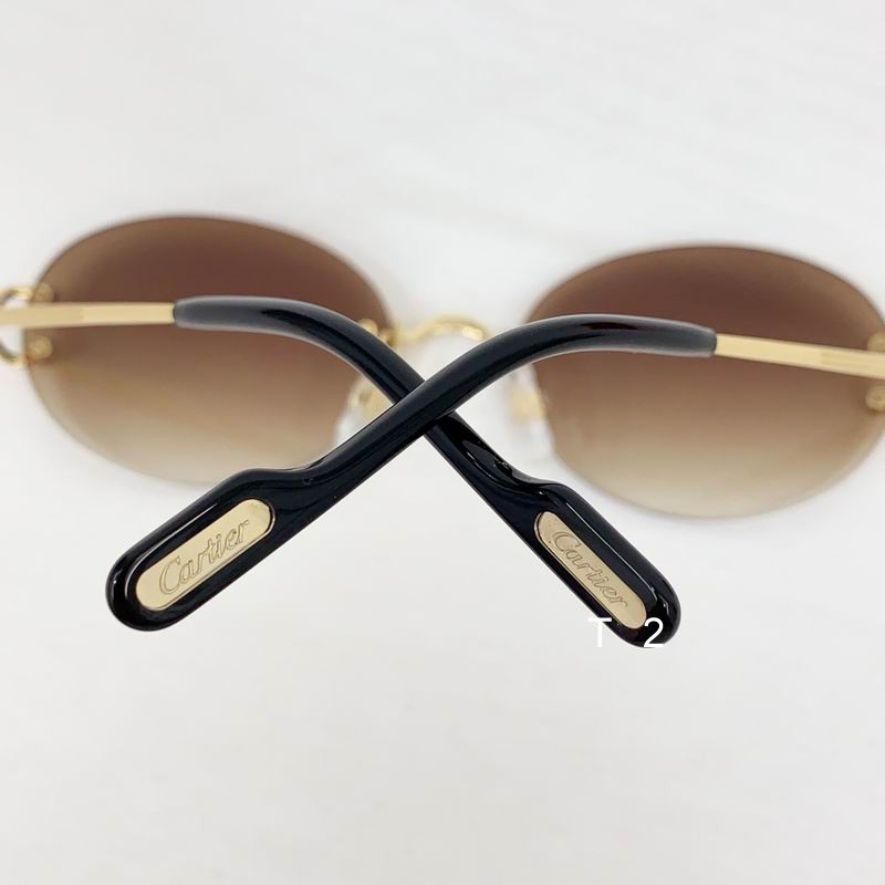 Cartier CT0551S 55 18-145 b08