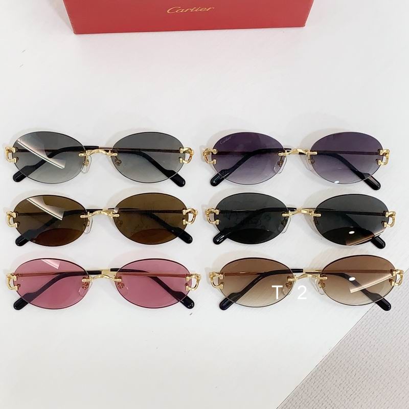 Cartier CT0551S 55 18-145 b09