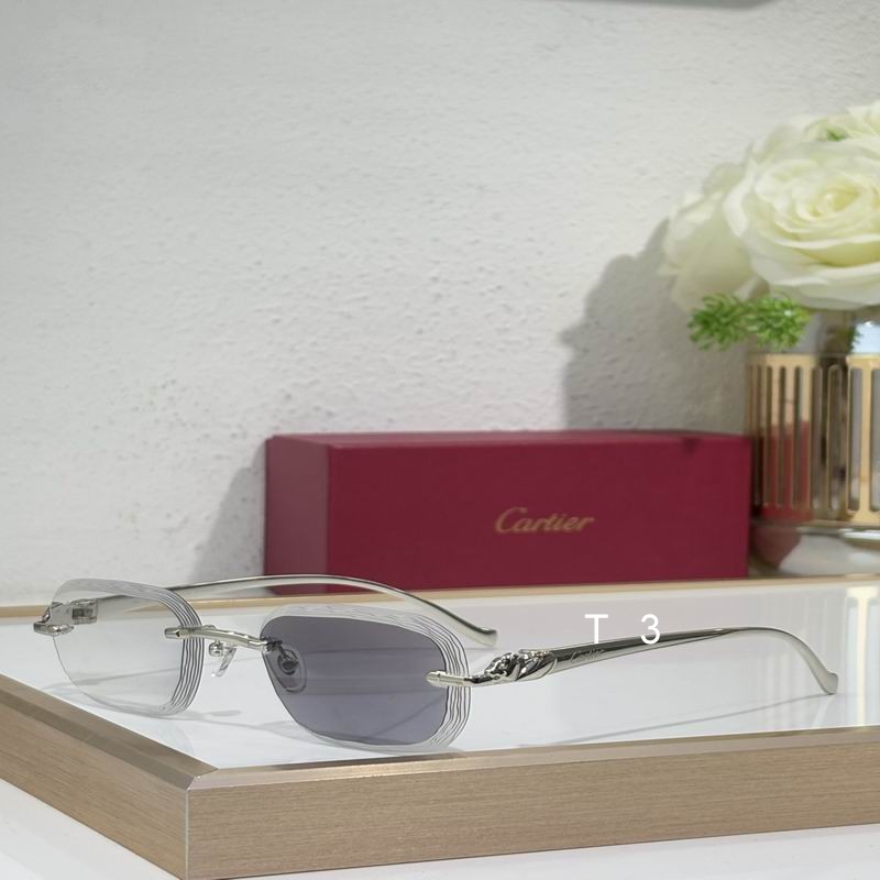 Cartier CT06224J 55 17-135 c01