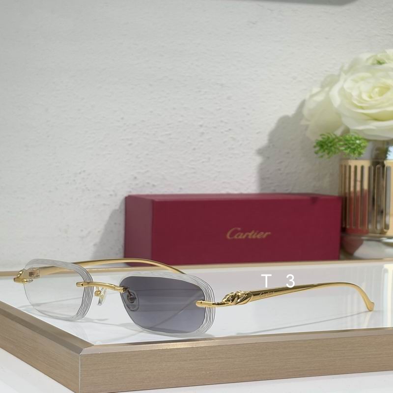 Cartier CT06224J 55 17-135 c02