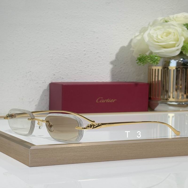 Cartier CT06224J 55 17-135 c03