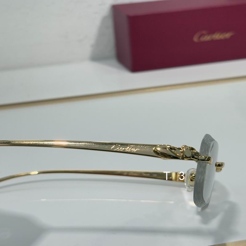 Cartier CT06224J 55 17-135 c06