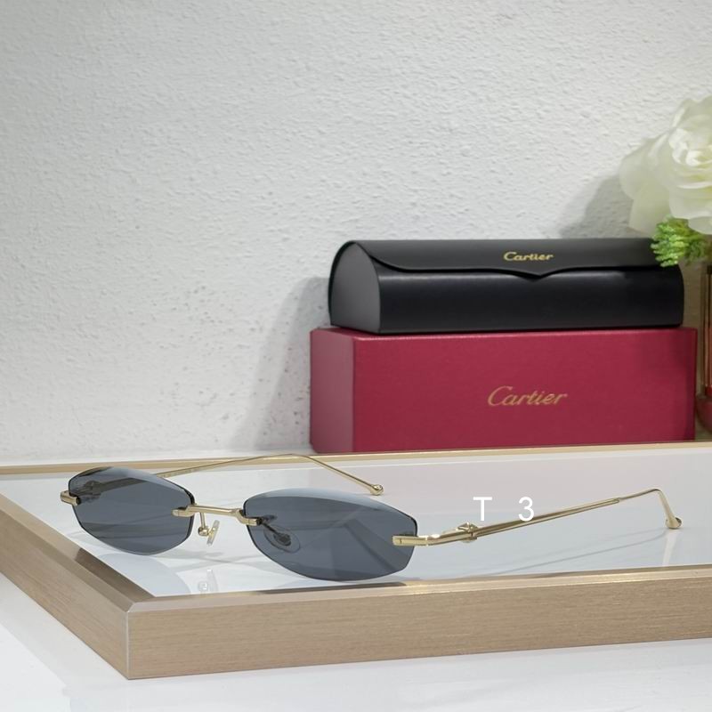 Cartier CT0648S 56 18-145 c01