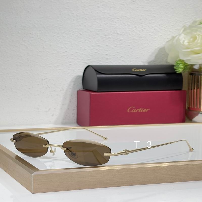 Cartier CT0648S 56 18-145 c02