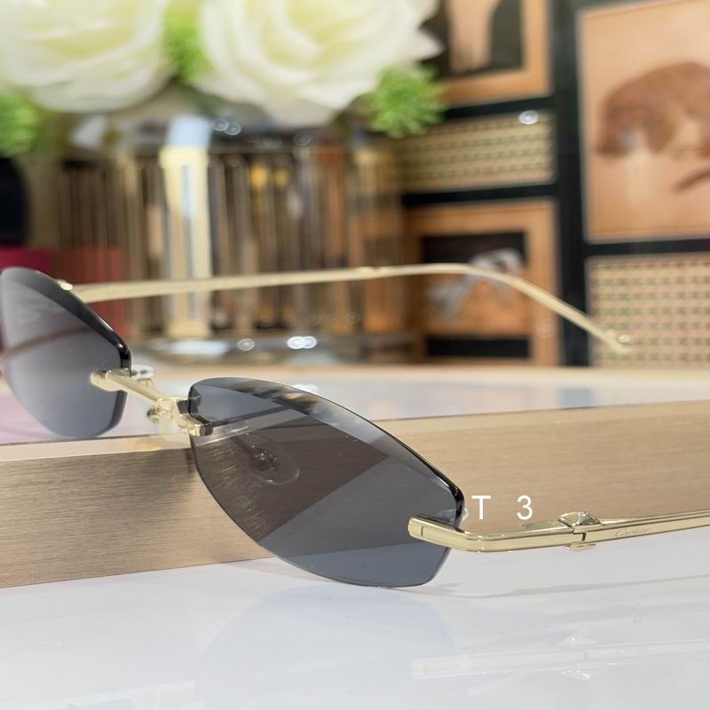 Cartier CT0648S 56 18-145 c07