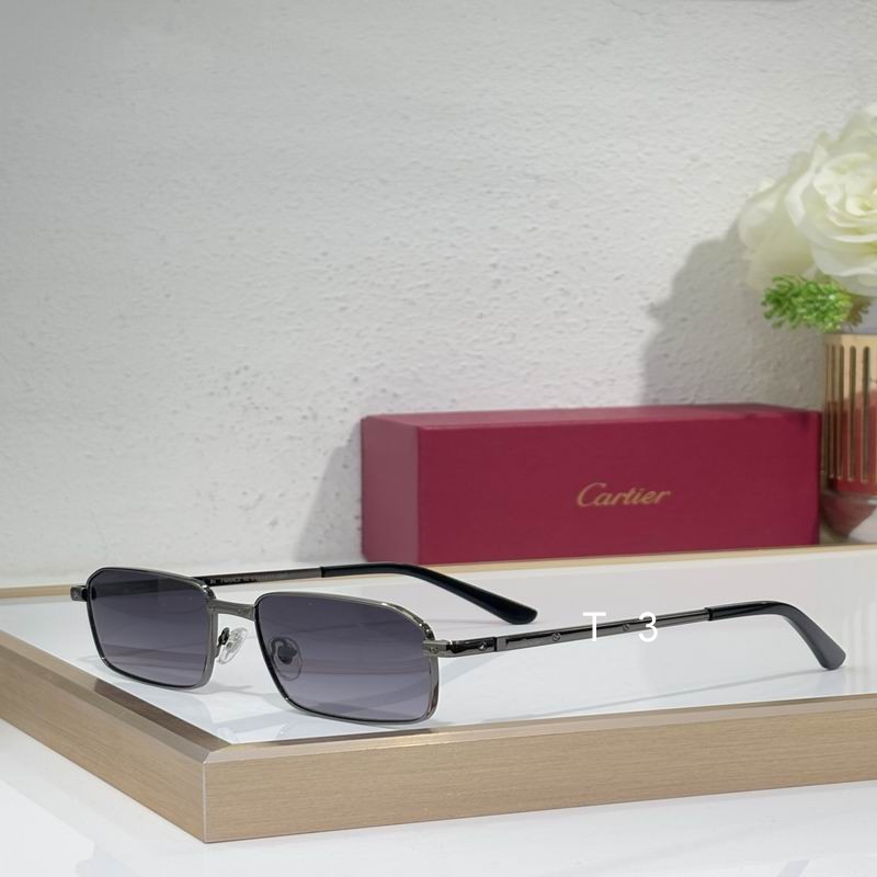 Cartier CT0685S 145 C04