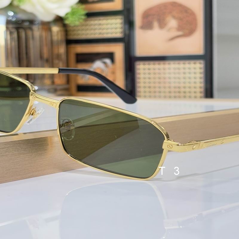 Cartier CT0685S 145 C09