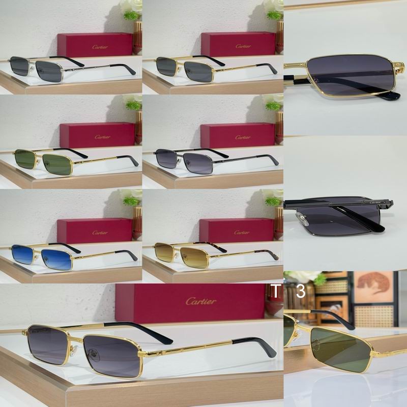 Cartier CT0685S 145 C10