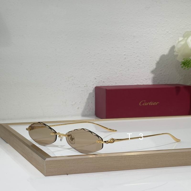 Cartier CT0732S 58 18-137 c06
