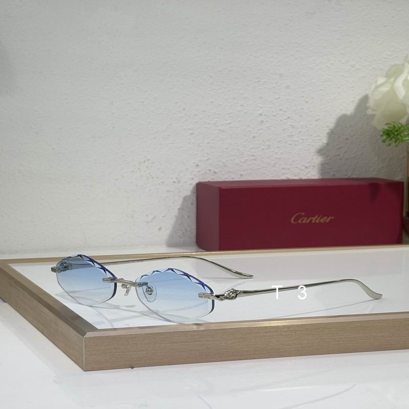 Cartier CT0732S 58 18-137 c07