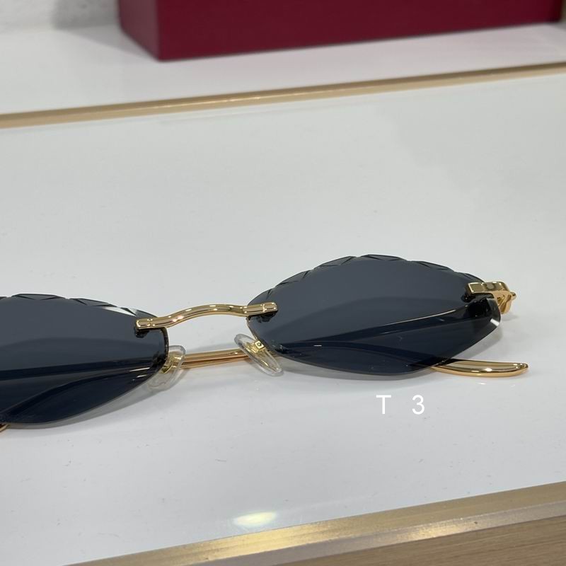 Cartier CT0732S 58 18-137 c09