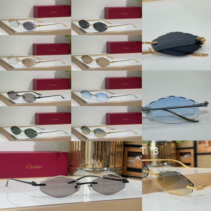 Cartier CT0732S 58 18-137 c10