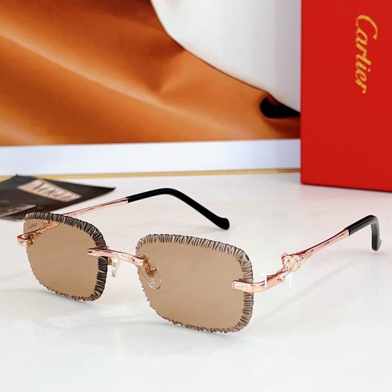 Cartier CT08262 59 17-140 a02