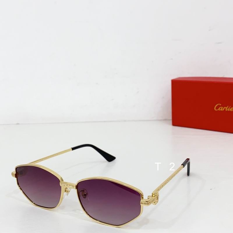 Cartier CT1177S 58 16-145 b04