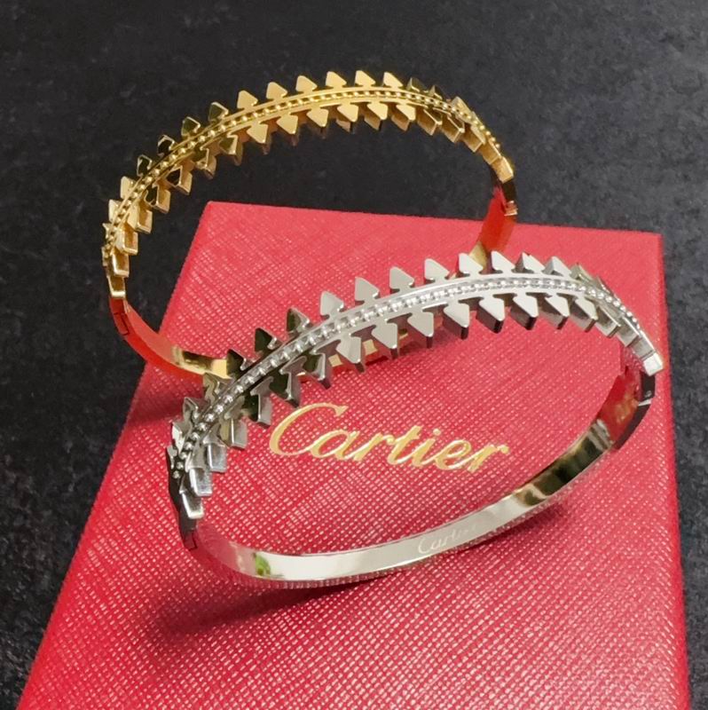 Cartier bracelet 05yxh10 (2)