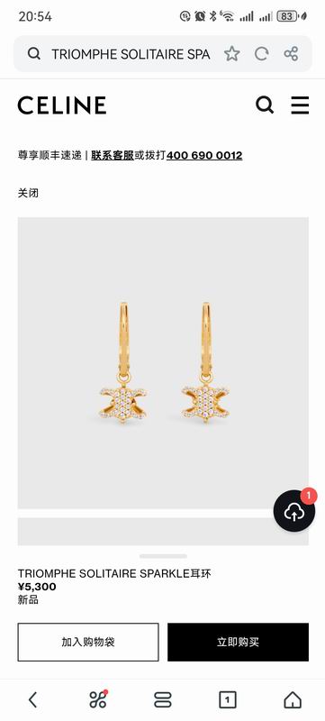 Celine Earring 07yxh02 (3)