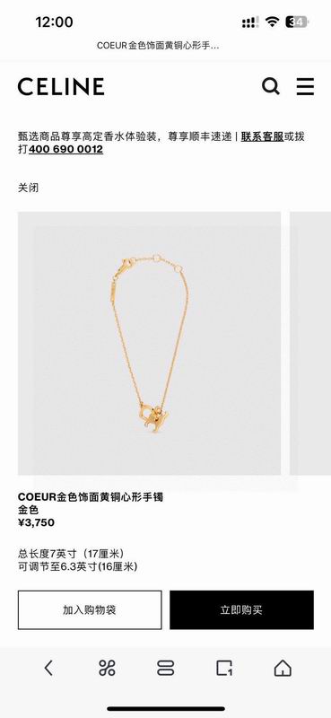 Celine Necklace 04yxh22 (7)