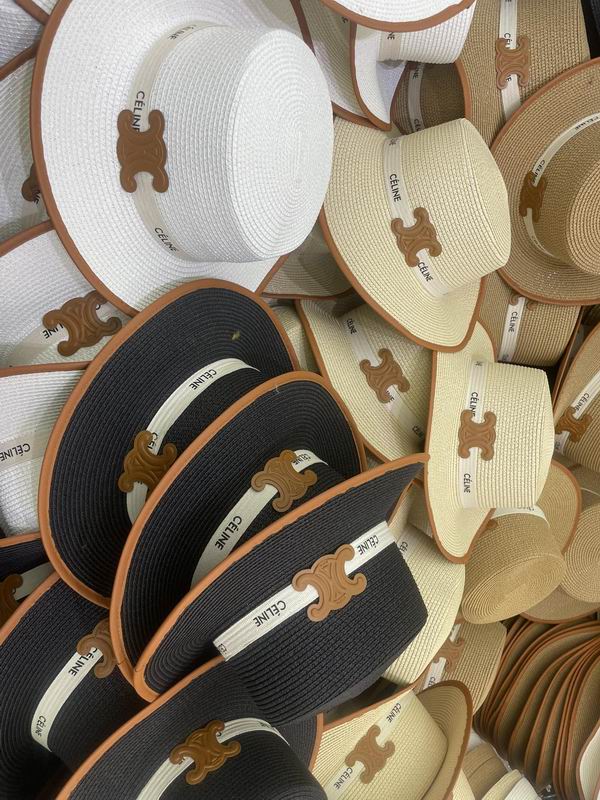 Celine top hat dx (292)