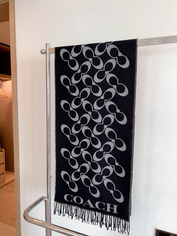 Coach scarf 180X40cm E (3)