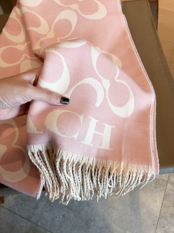 Coach scarf 180X40cm E (7)