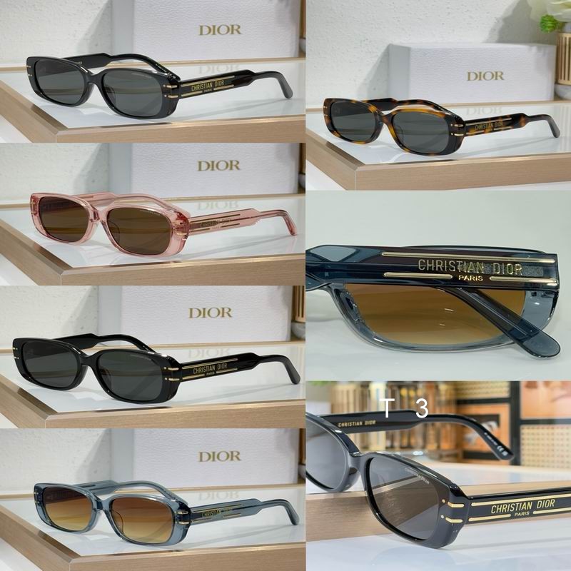 Dior S12F 53 21-145 c09