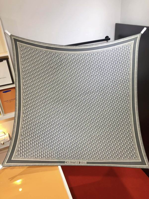 Dior 140X140cm 70%羊绒30%真丝 E (19)