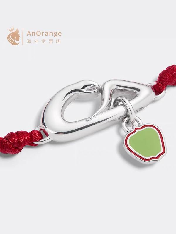 Dior Bracelet 05yxh01 (4)
