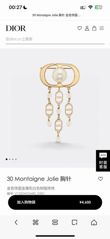 Dior Brooch 05yxh03 (1)