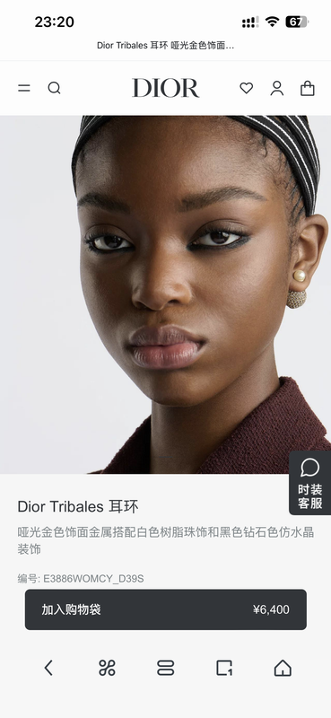 Dior Earring 05yxh02 (5)