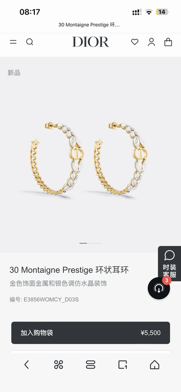 Dior Earring 05yxh08 (4)