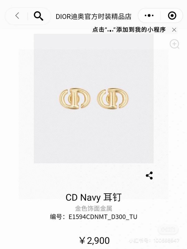 Dior Earring 05yxh102 (3)