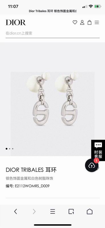 Dior Earring 05yxh107 (2)