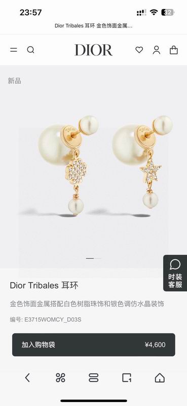 Dior Earring 05yxh128 (2)