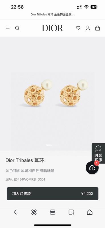 Dior Earring 05yxh137 (2)